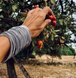 »Armband 97« aus Edelstahlfedern