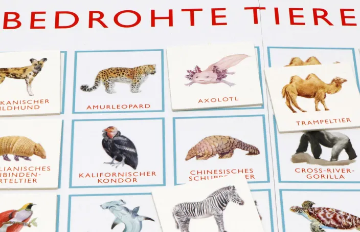 Bingo »Bedrohte Tiere«