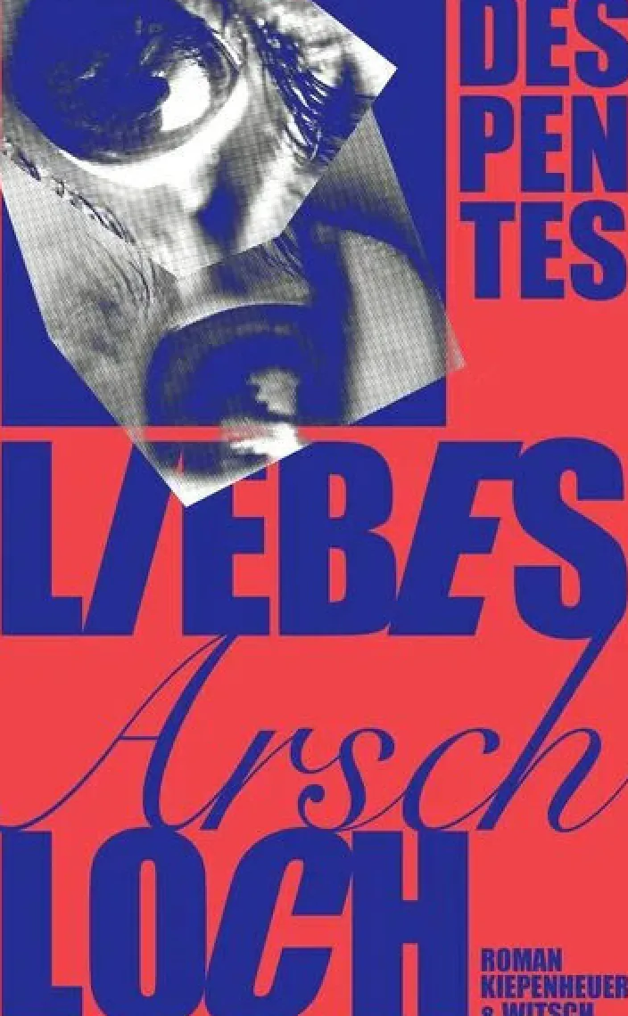 Despentes, Virginie: Liebes Arschloch