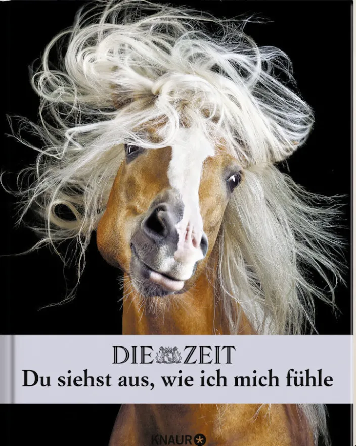 »Du siehst aus, wie ich mich fühle« -Buch