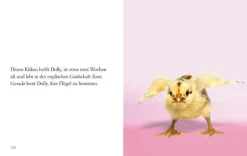 »Du siehst aus, wie ich mich fühle« -Buch