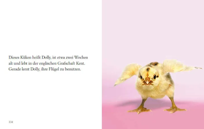 »Du siehst aus, wie ich mich fühle« -Buch