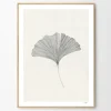 Frois, Ana: »Ginkgo Leaf«, mit Rahmung