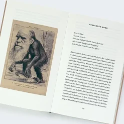 Hilal, M: Hässlichkeit