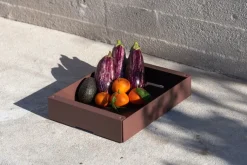 KGT Aufbewahrungsbox