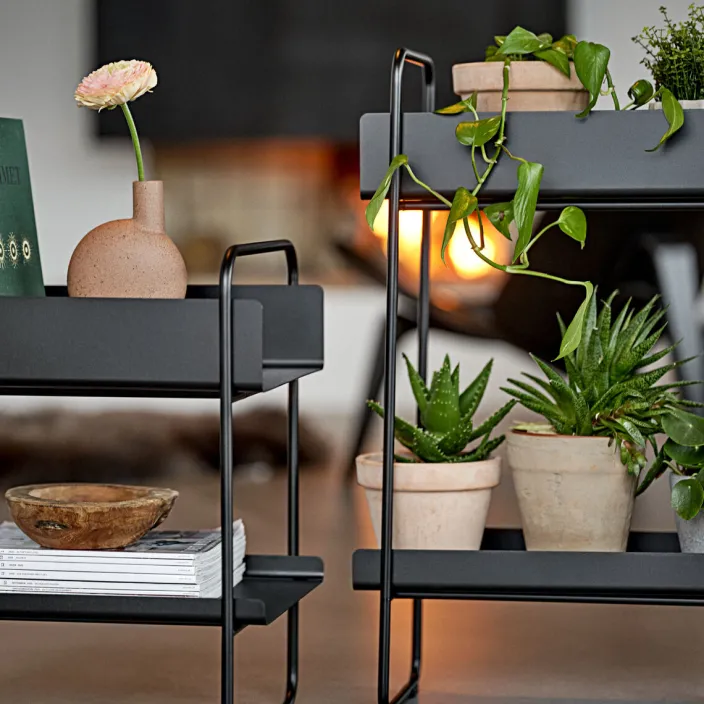 Konsolen- und Pflanztisch