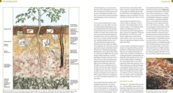 Kreuter, Marie-Luise: Der Biogarten