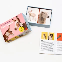 Memo »Klein und Groß«