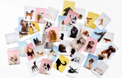 Memo-Spiel »Hundesprache - Verstehst du deinen Hund?«