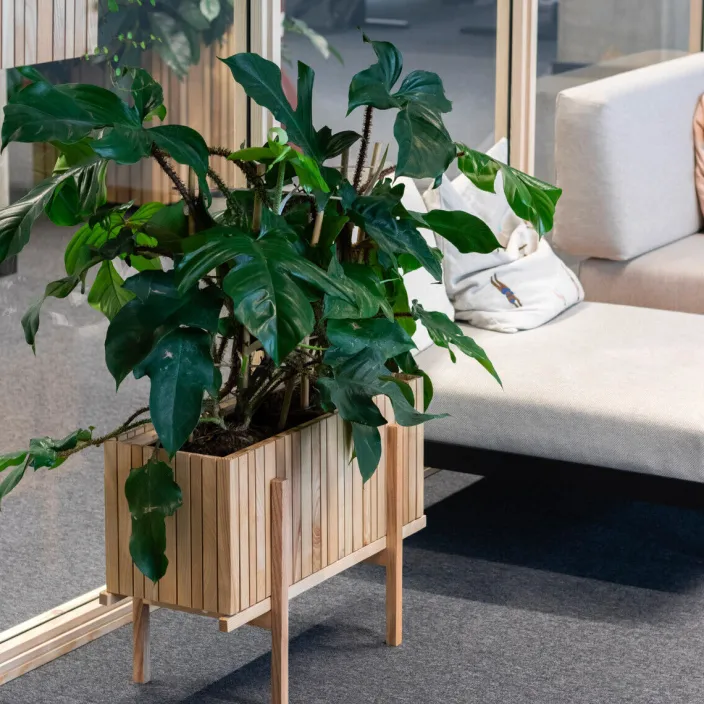 Pflanzgefäß »GrowWIDE«