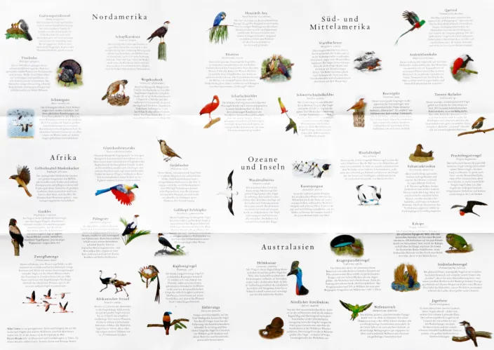 Puzzle »In 50 Vögeln um die Welt«