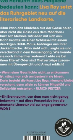 Roy, Lisa: Keine gute Geschichte