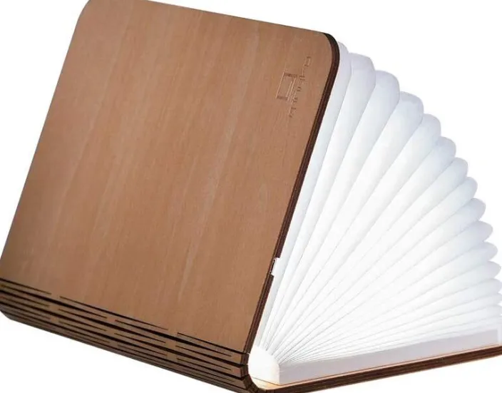 Smart Booklight »Ahorn«