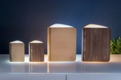 Smart Booklight »Ahorn«