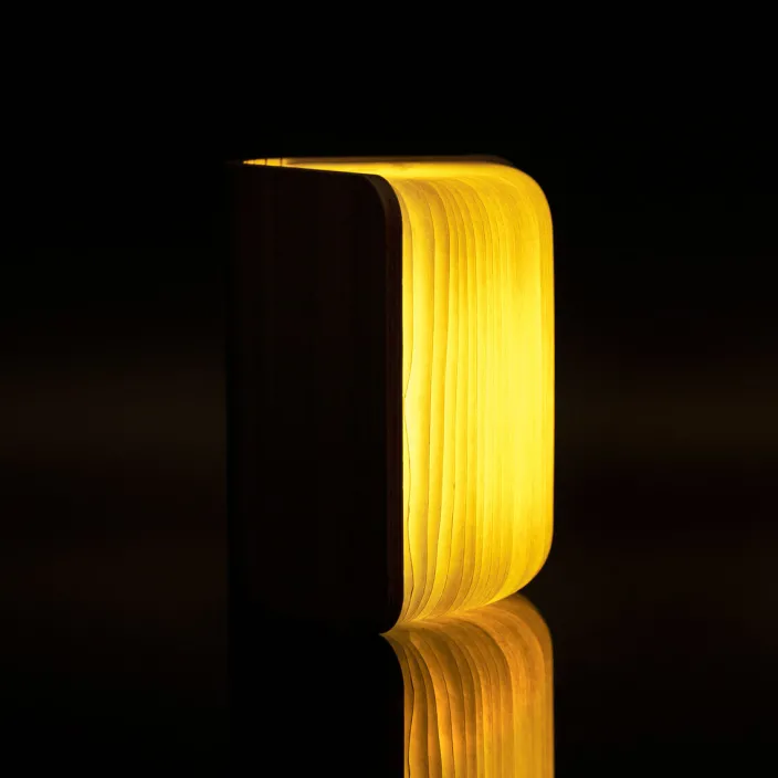 Smart Booklight »Ahorn«