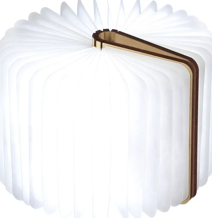 Smart Booklight »Ahorn«