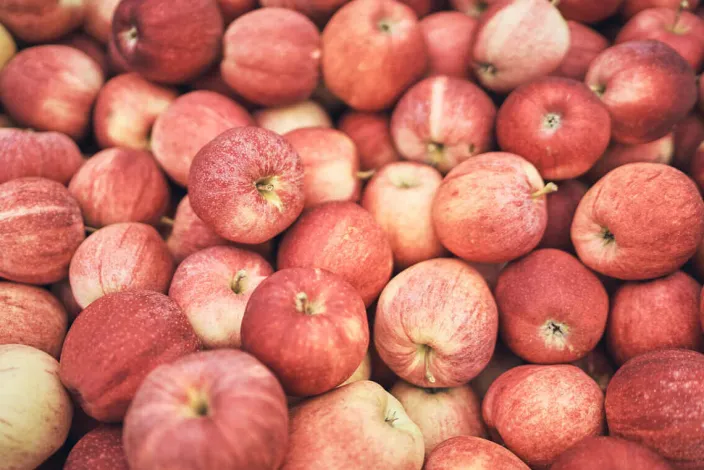 ZEIT-Sonderedition »MOZERs Obstreise«