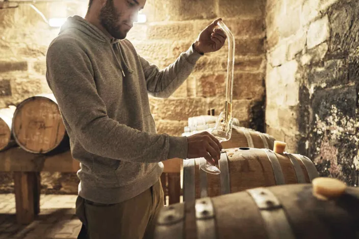 ZEIT-Sonderedition »MOZERs Obstreise«